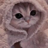 ♥️=>لمتنا متحلاش غير بينا<=💟