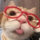 ارغــيي يـعـمـم 😂