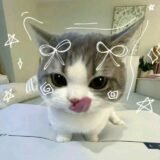 —͟͞ ⁖༒̶✹⃝‌꙰🎫༒̶ [̲̅ αʅ ƙαɾϝ⊹