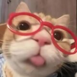 رمضان جاي 😂 ارغي يعم 🫶