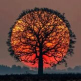 تٌـعٌــــــأّرفُـ بناتــــــ♡ــــــــــــ♡ـــــــــــــــ