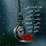 اصدقاء صادقين بدون نفاق
