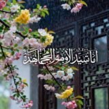 مَجْمُوعَةُ الأَنَاشِيدِ الإِسْلَامِيَّةِ العَرَبِيَّةِ