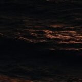 𝓣𝓗𝓔 𝓕𝓡𝓘𝓔𝓝𝓓𝓢