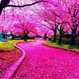 🦋دٍروٌبً آلَسِعٌآدٍةّ 🦋آخِوٌآتٌ💞