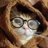 كل ضحكه هتكبر كرشك 😂