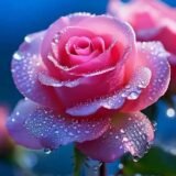“𝐹𝑜𝑟 𝑌𝑜𝑢♡🖇️💗