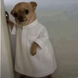 شلة الحبايب 🫶