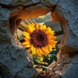 تعـــ𓄿ـارف بنــــــ𓀙ــــات وشبـــ𓅓ـــــــاب